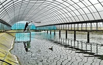 綠色農(nóng)業(yè),迎來(lái)發(fā)展新契機(jī)