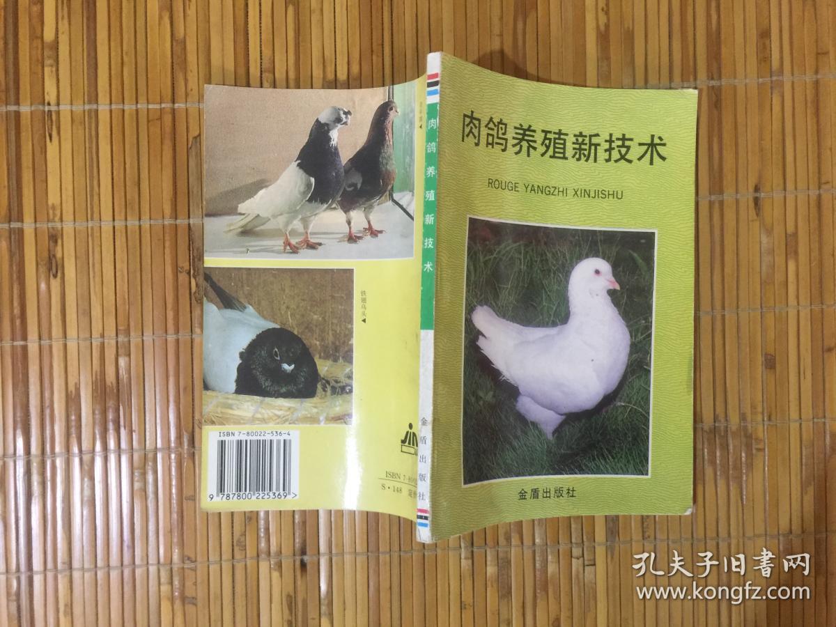 肉鴿養殖新技術